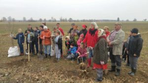 W Grabinie sadzą nie tylko graby