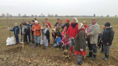 W Grabinie sadzą nie tylko graby