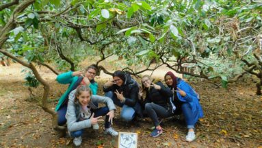 Wyjazd podsumowujący projekt DL w Górkach (Arboretum Lipno)
