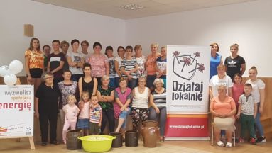 Zdjęcie przedstawia grupę osób pozujących do zdjęcia we wnętrzu, dookoła baneru z logiem programu Działaj Lokalnie.