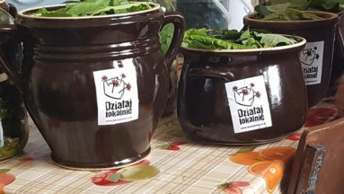 Zdjęcie przedstawia duże kamienne naczynia z naklejką programu Działaj Lokalnie, wypełnione po brzegi kapustą.