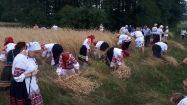 Zdjęcie przedstawia osoby ubrane w tradycyjne stroje, pracujące w polu.