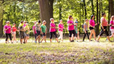 Zdjęcie przedstawia grupę osób maszerujących w lesie z kijami do nordic walking.
