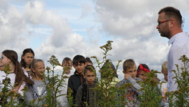 Warsztaty terenowe