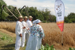 Czas rozpocząć żniwa w&nbsp;Gminie Stara Błotnica