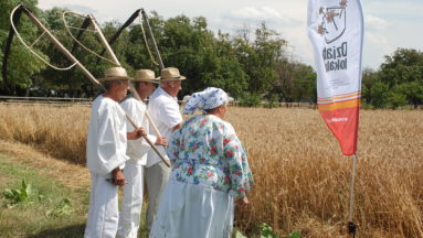 Czas rozpocząć żniwa w Gminie Stara Błotnica