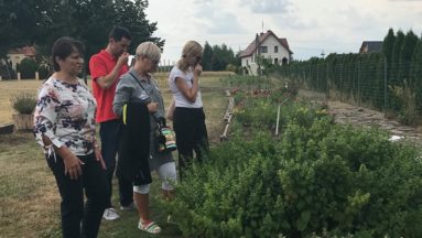 Przysiecz i ogór ziołowy z DL