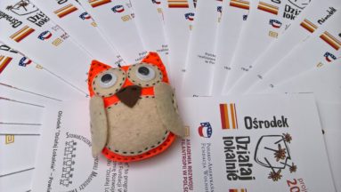 Działaj Loklanie w Powiecie Cieszyńskim