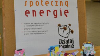 Efekty warsztatów