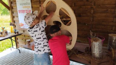 budowanie hoteli dla owadów