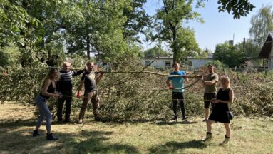 Grupa osób porządkuje przestrzeń parku