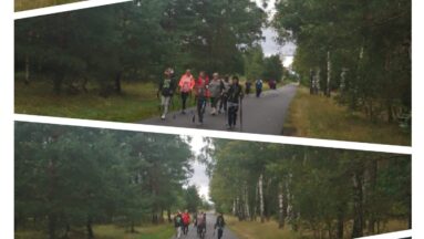 Kolaż zdjęć z wyjścia z kijami - osoby maszerują w plenerze
