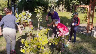 Na zdjęciu widać rodziny pracujące w ogrodzie