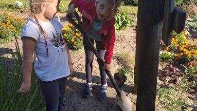 Na zdjęciu widać dzieci pracujące w ogrodzie