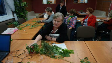 Na zdjęciu widać osobę siedzącą przy stole, spoglądającą na pęk świeżych ziół