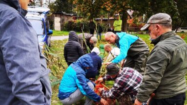 prace porządkowe kontynuacja