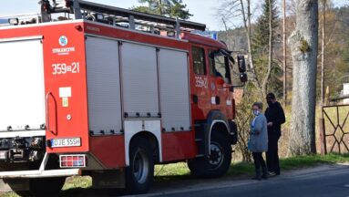 Strażacy w walce w COVID 3