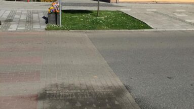 Deszczówką podlewanie oszczędza wodę w kranie- deszczowe grafiti w Borach Niemodlińskich
