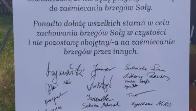 oświadczenie o nieśmieceniu