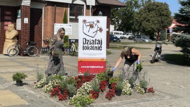 Sadzenie roślin miododajnych w Zwierzyńcu