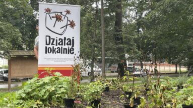 Sadzenie roślin miododajnych w Zwierzyńcu