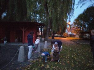 krokusy3 Prace trwały do zmierzchu- sadzenie cebulek wraz z dziećmi