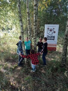 img-2671 Drzewa w szkole