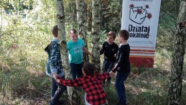Drzewa w szkole