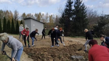 Drzewa w szkole