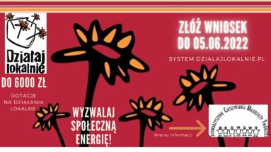 Ogłoszenie konkursu grantowego - Cieszyn